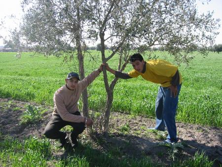 avec jawad l 9erd