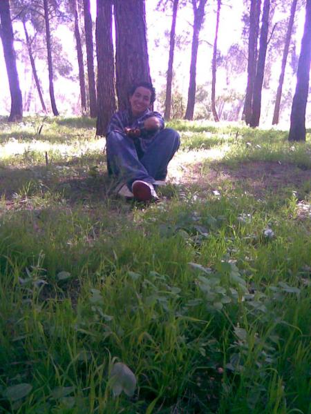 s3ay l ghaba 