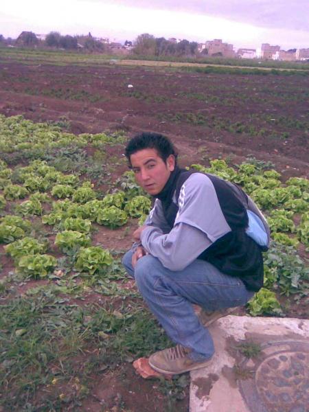 MOI f le  salad 