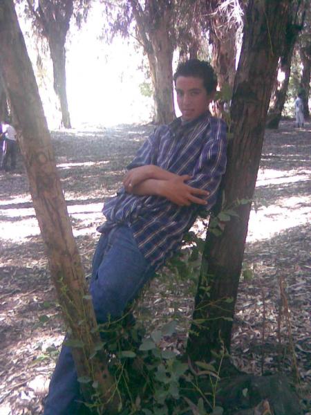 dima hader 