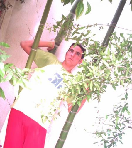la nature